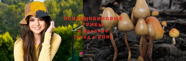 бутират Ельня