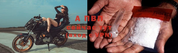 мяу мяу мука Елизово