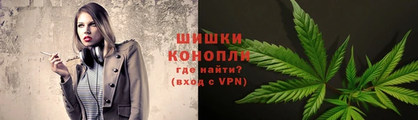 гидропоника Елабуга