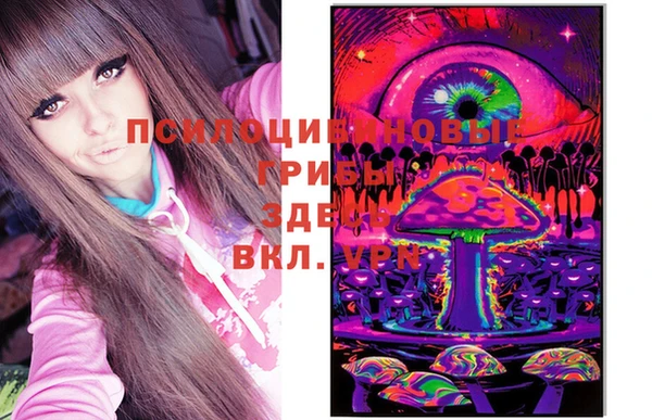мяу мяу мука Елизово