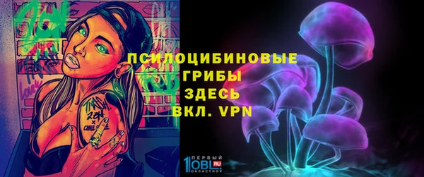 гидропоника Елабуга