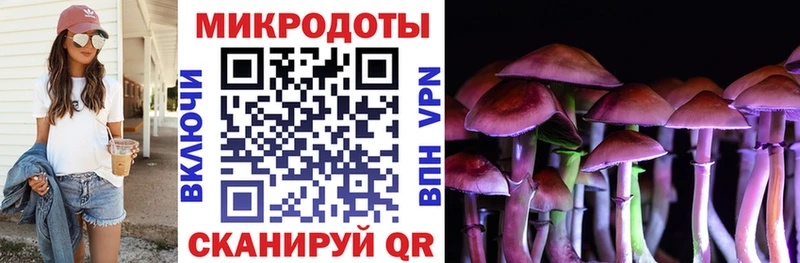 Купить где  Кубинка  Галлюциногенные грибы Cubensis 